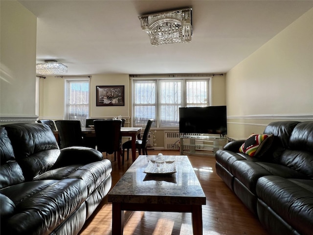 living room with radiator heating unit, plenty of natural light, and wood-type flooring