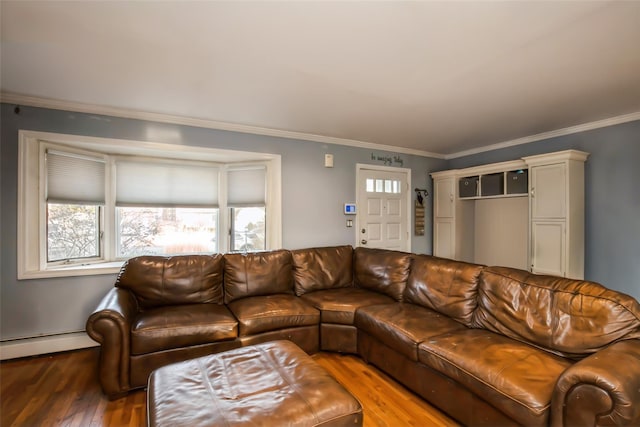 living area featuring a baseboard radiator, wood finished floors, and crown molding