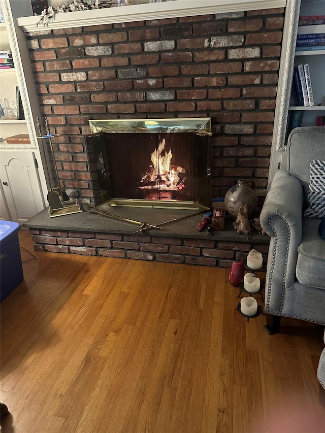 details with wood-type flooring and a fireplace