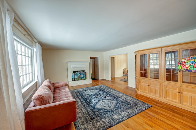 living room featuring a fireplace and wood-type flooring