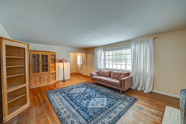 living room with hardwood / wood-style floors