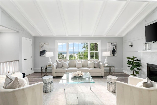 8 Fairway Pl, Cold Spring Harbor, NY 11724 - living room with baseboard heating, wood finished floors, and a glass covered fireplace