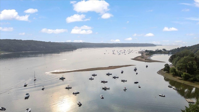 8 Fairway Pl, Cold Spring Harbor, NY 11724 - water view