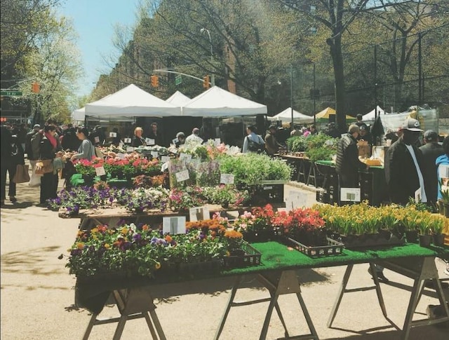 view of property's community