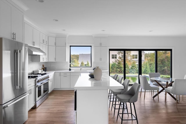 kitchen featuring a kitchen island, high quality appliances, white cabinetry, sink, and decorative backsplash