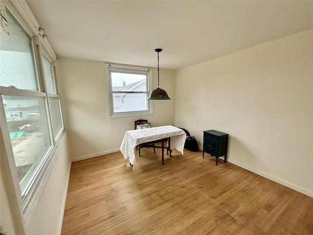 dining space featuring light hardwood / wood-style flooring