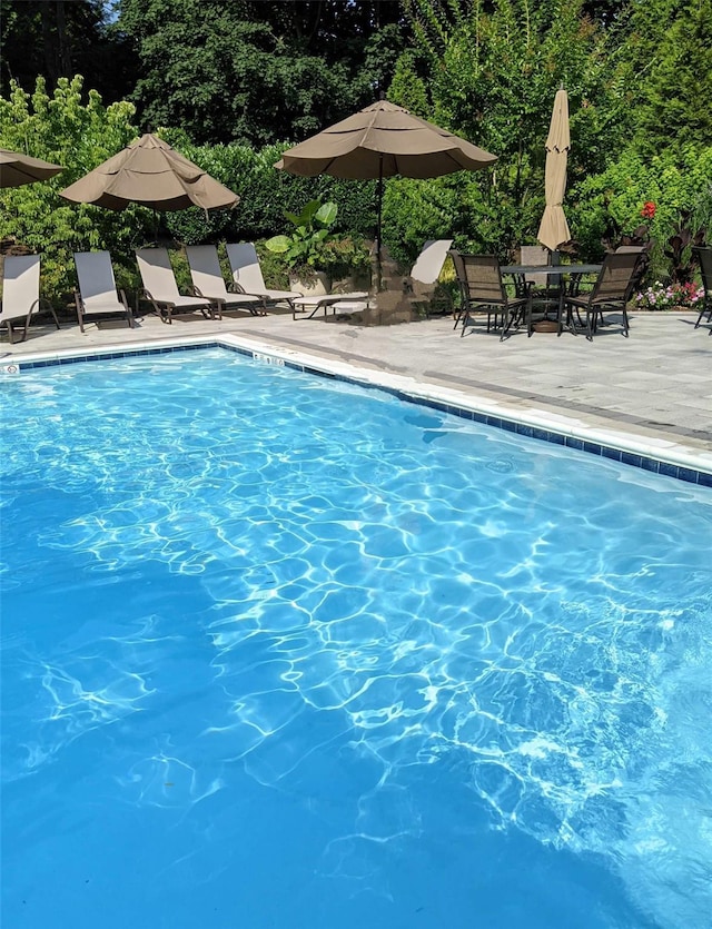 view of pool featuring a patio area