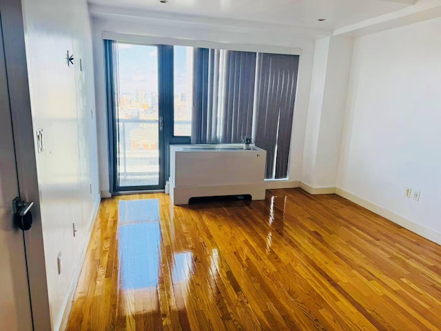 empty room featuring wood-type flooring