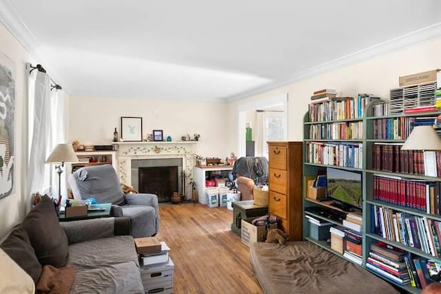 sitting room featuring crown molding and light hardwood / wood-style flooring