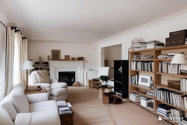 living room with ornamental molding and wood-type flooring