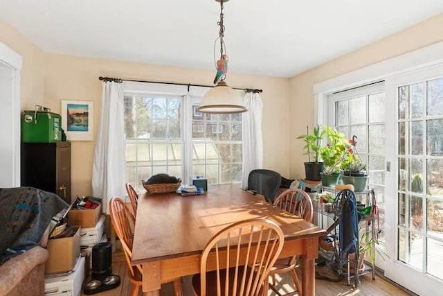 dining space featuring hardwood / wood-style flooring