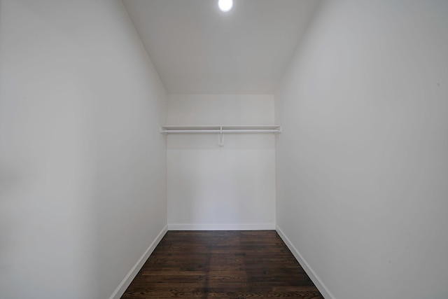 walk in closet with dark wood-type flooring