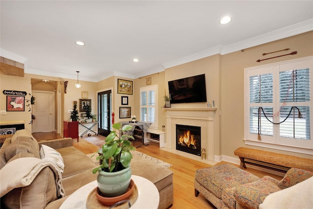 living room with ornamental molding and light hardwood / wood-style flooring