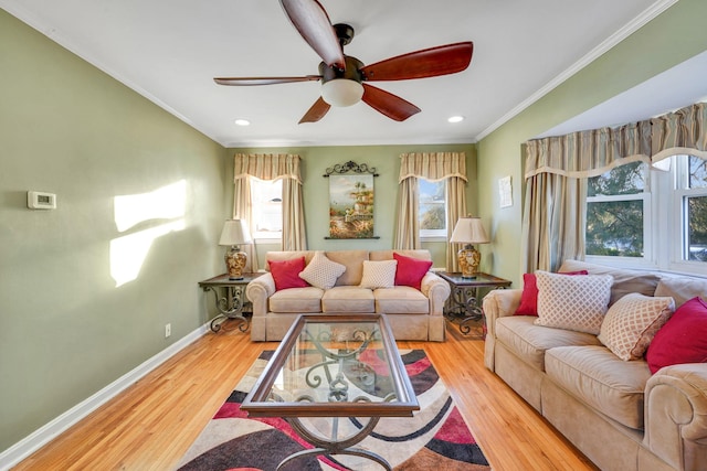 living room featuring ceiling fan, ornamental molding, and light hardwood / wood-style flooring