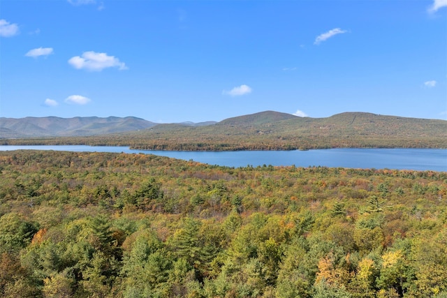 water view featuring a mountain view