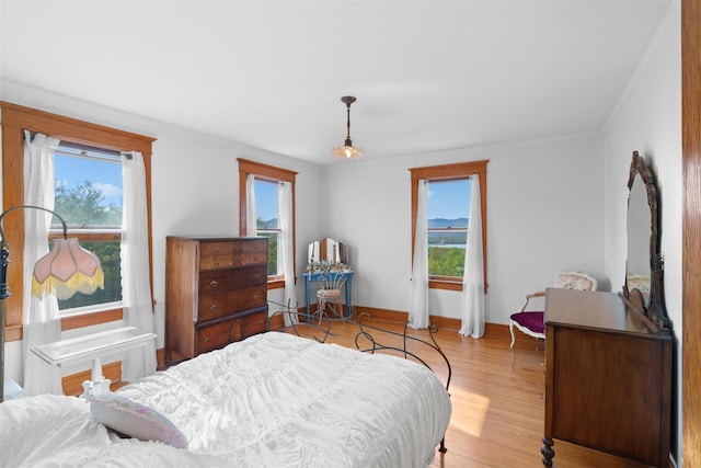 bedroom featuring light hardwood / wood-style floors