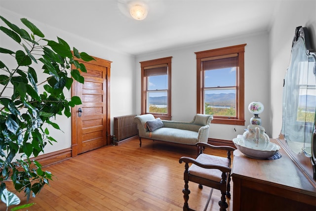 living area featuring radiator heating unit and light hardwood / wood-style floors