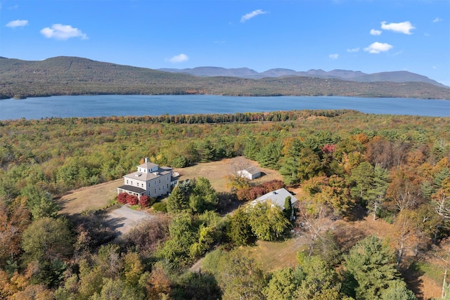 drone / aerial view with a water and mountain view