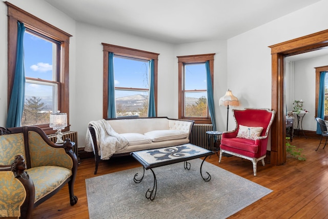 living room with radiator, a healthy amount of sunlight, and wood finished floors