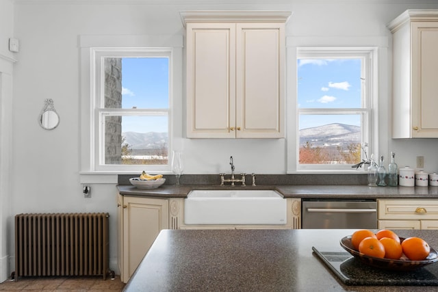 kitchen with dark countertops, radiator, stainless steel dishwasher, a sink, and a mountain view