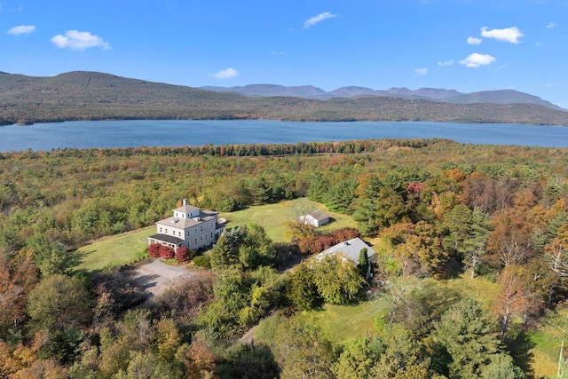 aerial view featuring a view of trees and a water and mountain view