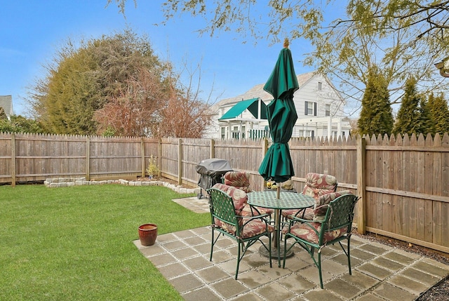 view of yard with a patio area and a fenced backyard