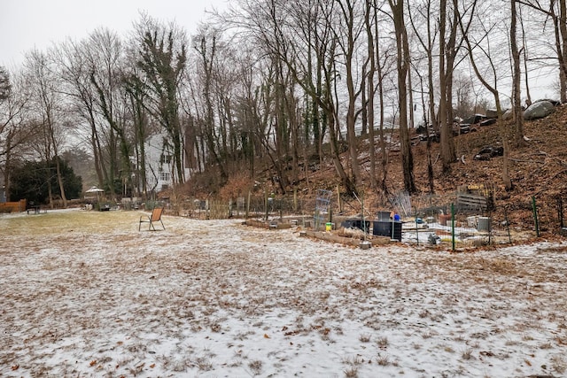 view of yard covered in snow