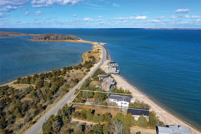 drone / aerial view with a water view and a view of the beach