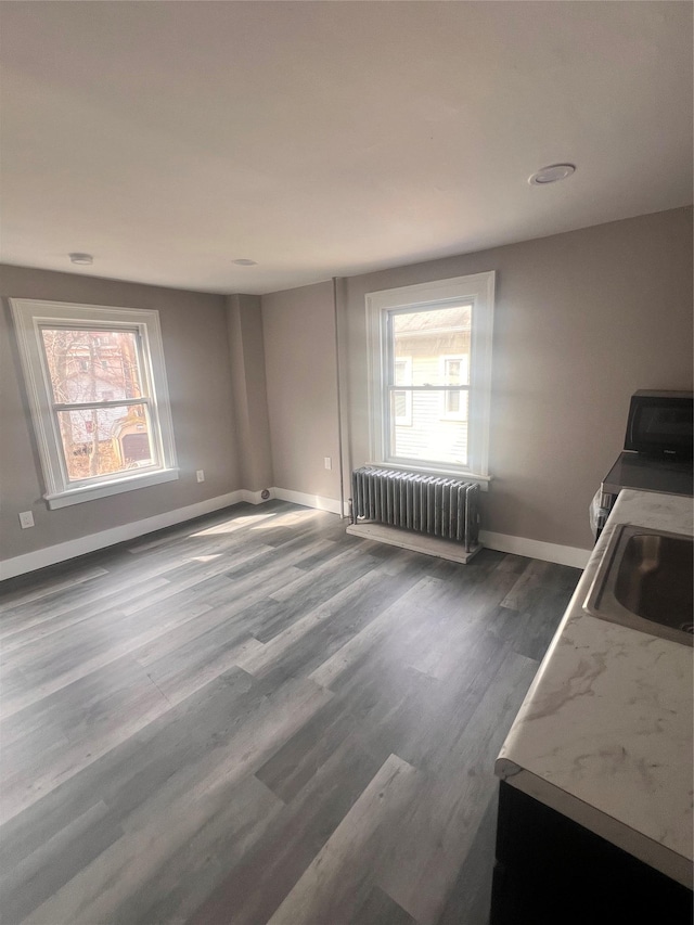 interior space with a sink, radiator, a wealth of natural light, and dark wood-style flooring