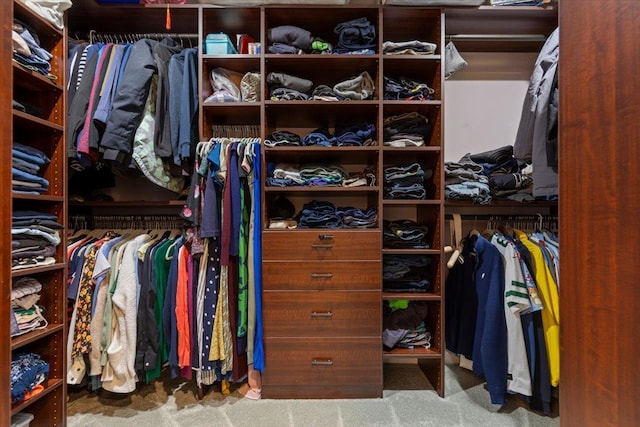6 W Causeway, Cortlandt Manor, NY 10567 - spacious closet with carpet