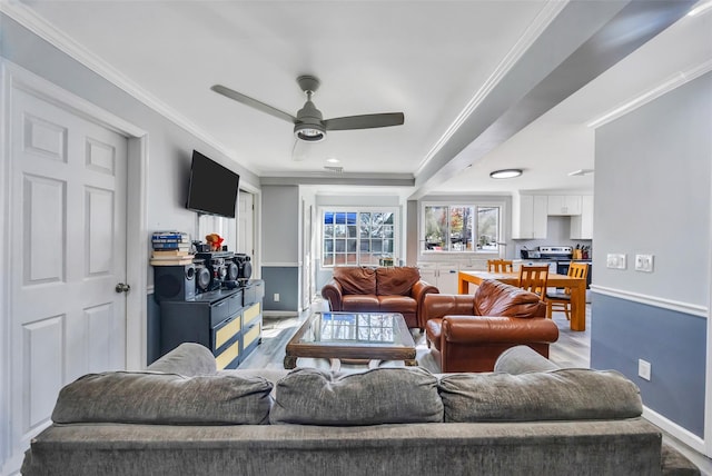 living room featuring crown molding, ceiling fan, and light wood-type flooring