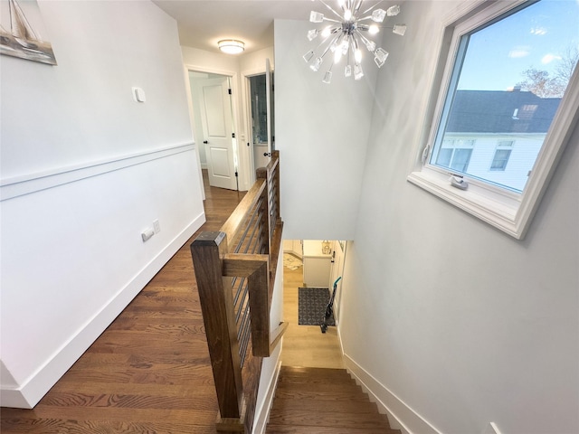 stairs with an inviting chandelier and hardwood / wood-style floors