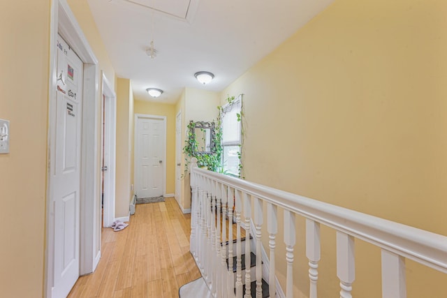 11040 160th St, Jamaica, NY 11433 - photo 8