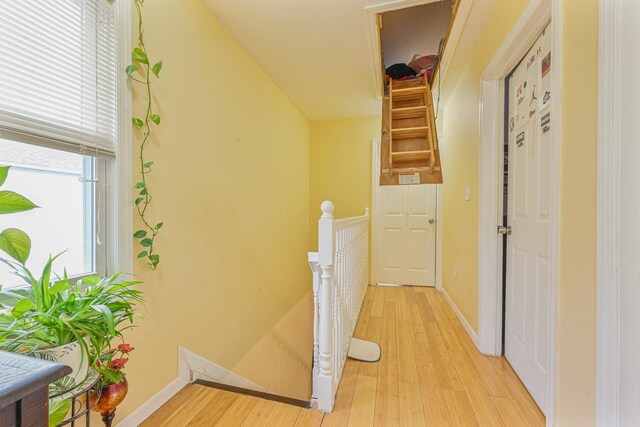 11040 160th St, Jamaica, NY 11433 - photo 9