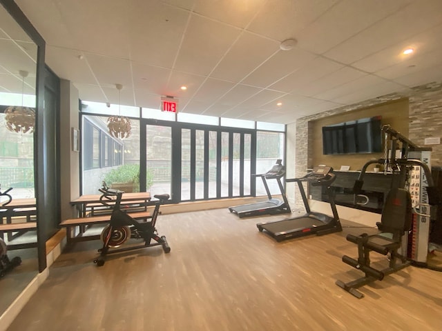 workout area featuring expansive windows, hardwood / wood-style floors, and a drop ceiling