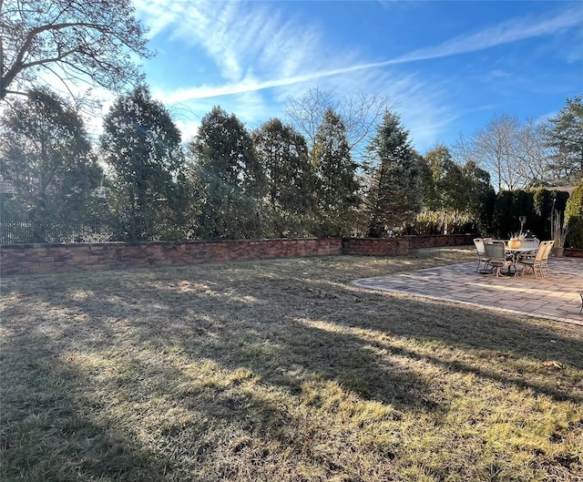 view of yard with a patio