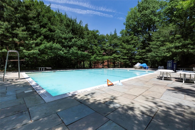 view of pool with a patio area