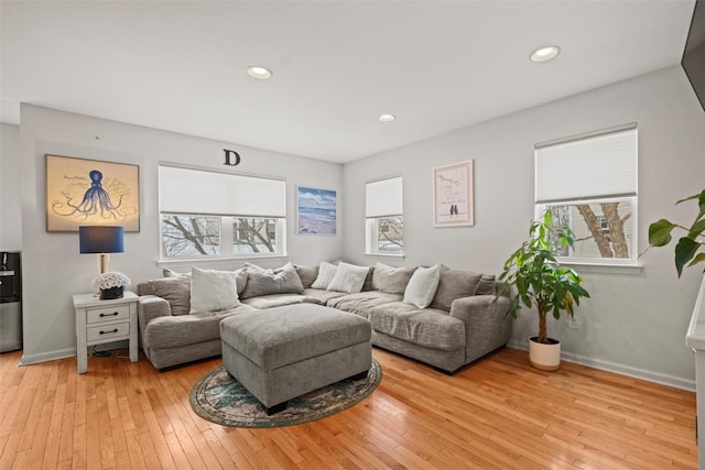 living room featuring a healthy amount of sunlight and light wood-type flooring