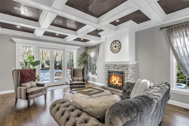 living room featuring plenty of natural light, dark hardwood / wood-style floors, a stone fireplace, and french doors