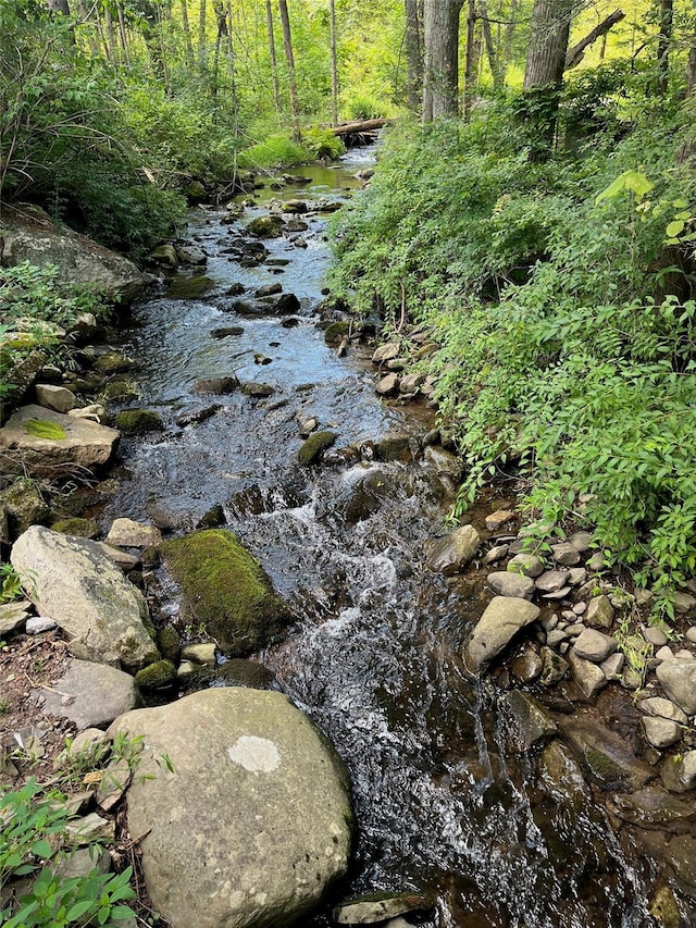 view of local wilderness