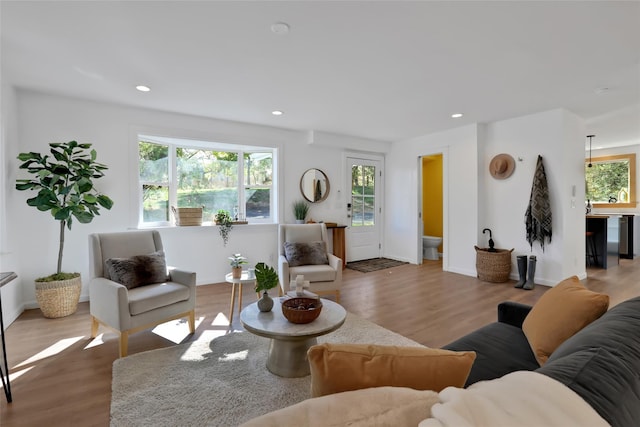 living room featuring wood-type flooring