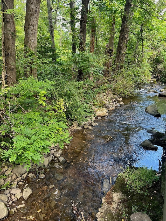 view of local wilderness