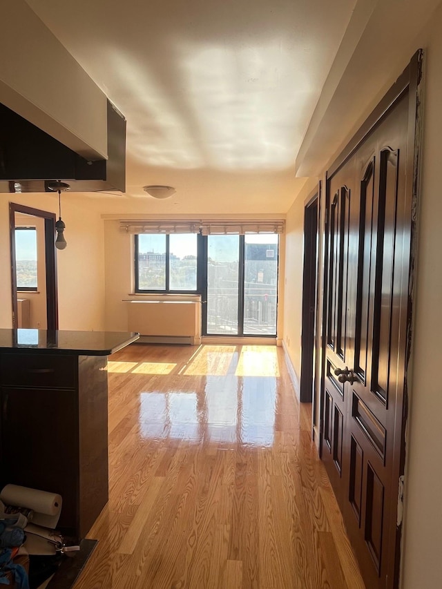 unfurnished living room featuring light wood-type flooring