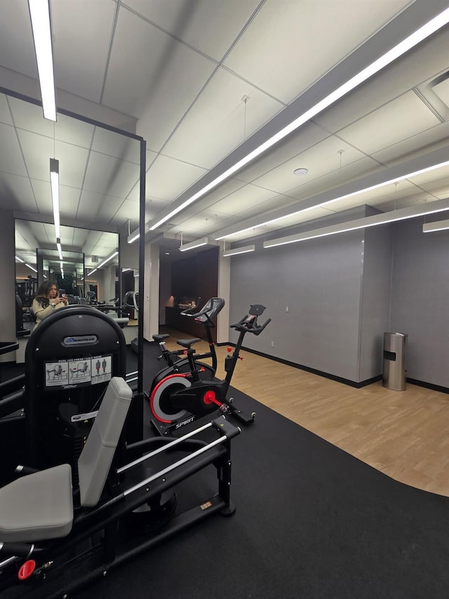 workout area featuring a paneled ceiling and wood finished floors