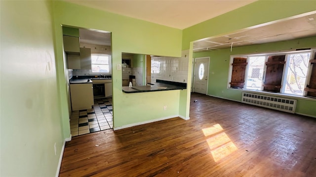 kitchen featuring sink, decorative backsplash, radiator heating unit, and dark hardwood / wood-style floors