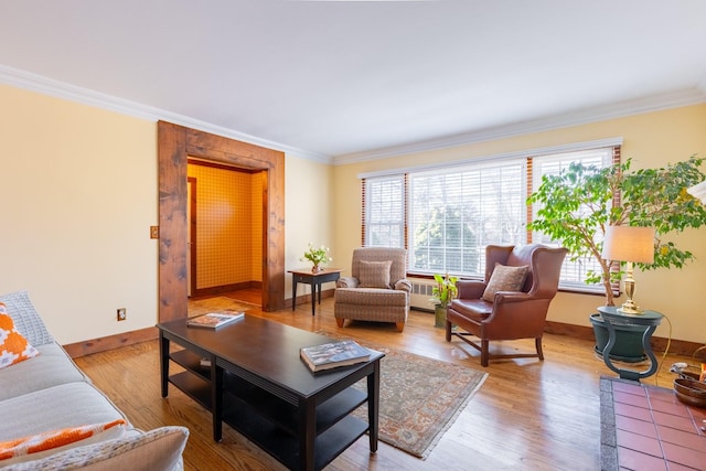 living room featuring crown molding and hardwood / wood-style floors