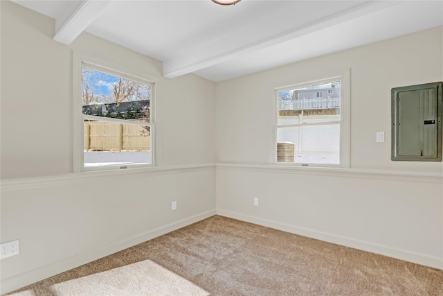 spare room with beam ceiling, a wealth of natural light, electric panel, and light colored carpet