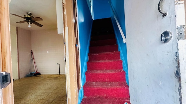 staircase featuring ceiling fan