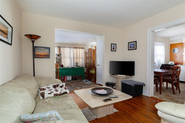 living room featuring dark wood-type flooring