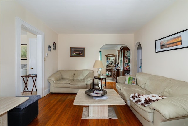 living room with dark hardwood / wood-style floors